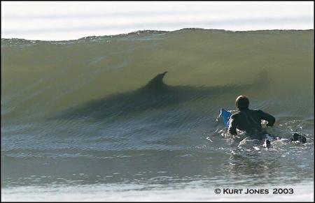 surf